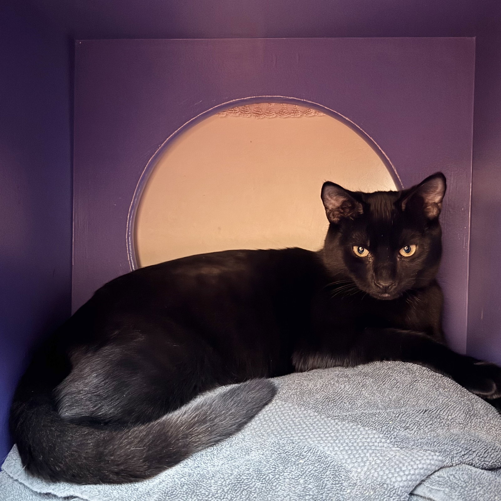Albert, photo 6