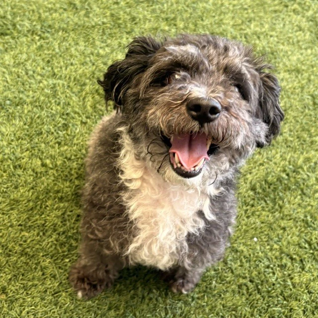 Fiona