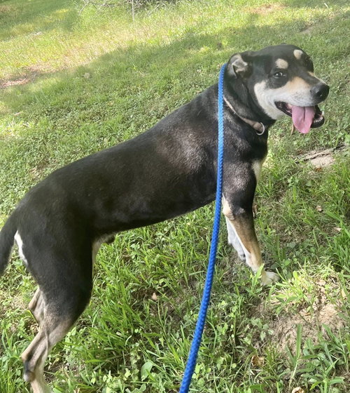 DeBo, photo 9