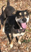 DeBo - Photo 10