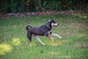 DeBo - Photo 13
