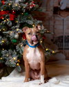 Miller - Photo 3