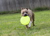 Miller - Photo 7