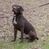 Rumpelstiltskin - Photo 5