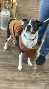 Bubbie - Photo 3