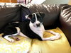 Bubbie - Photo 6