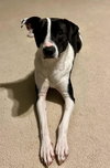 Bubbie - Photo 7