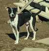Bubbie - Photo 8