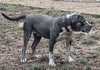 Shelly - Photo 6