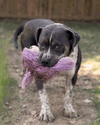 Shelly - Photo 5