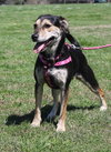 Berta - Photo 5