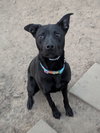 Onyx - Photo 6