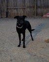 Onyx - Photo 8