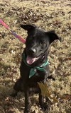 Onyx - Photo 1
