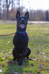 Dante - Photo 3