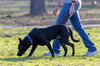 Dante - Photo 5