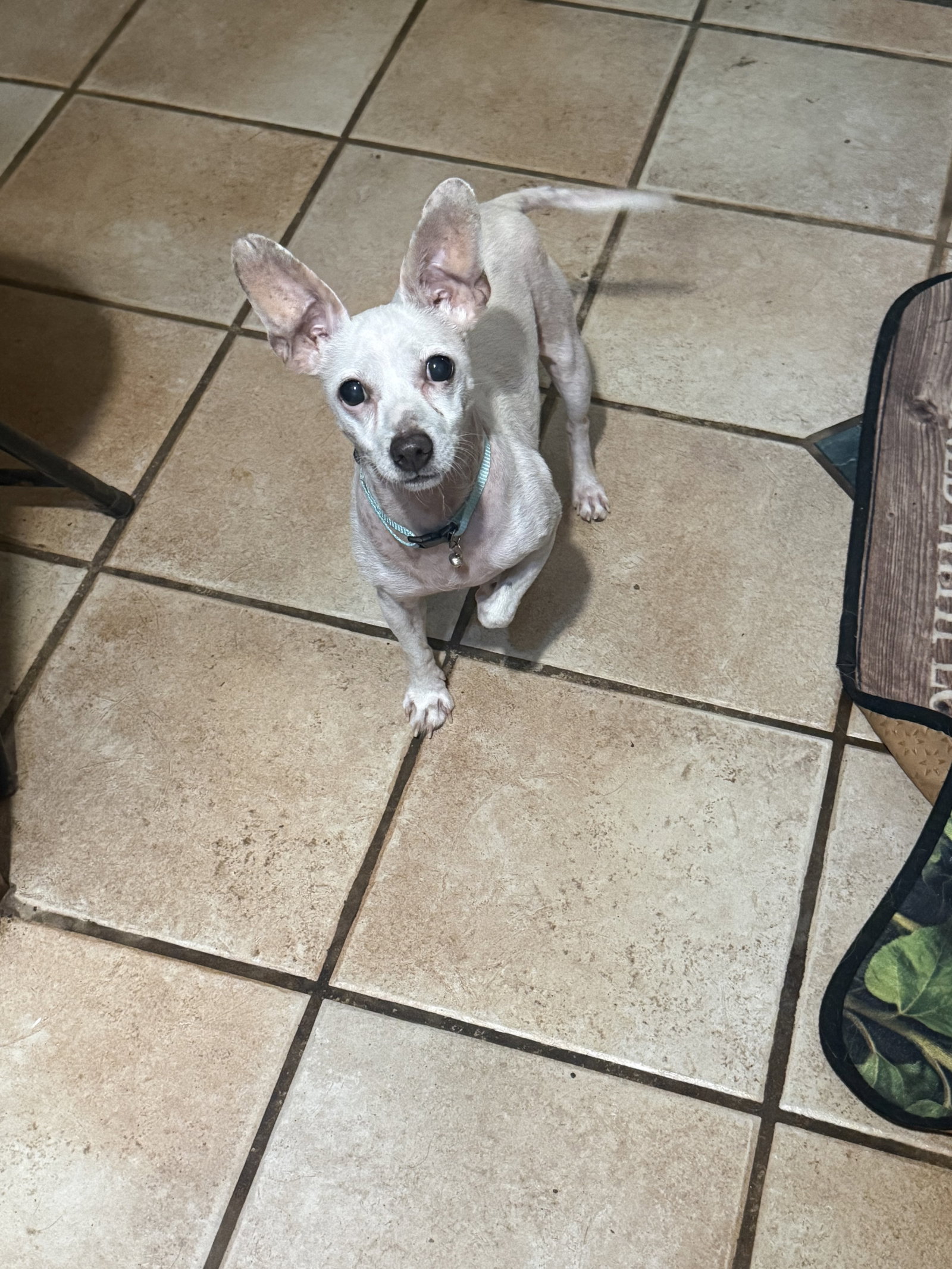 Edgar, Chihuahua