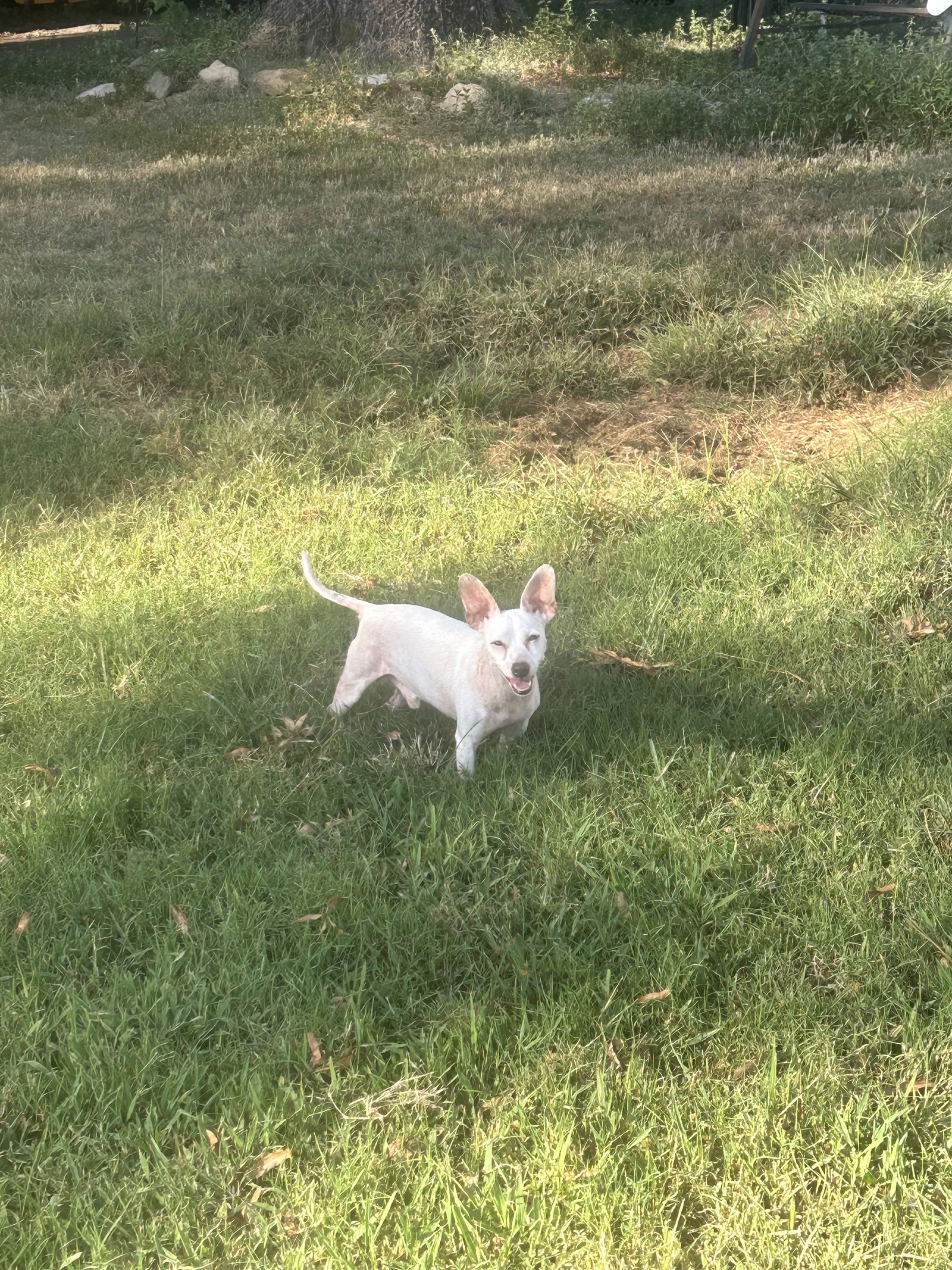 Edgar, photo 3