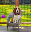 Maybelle (Kenwood)