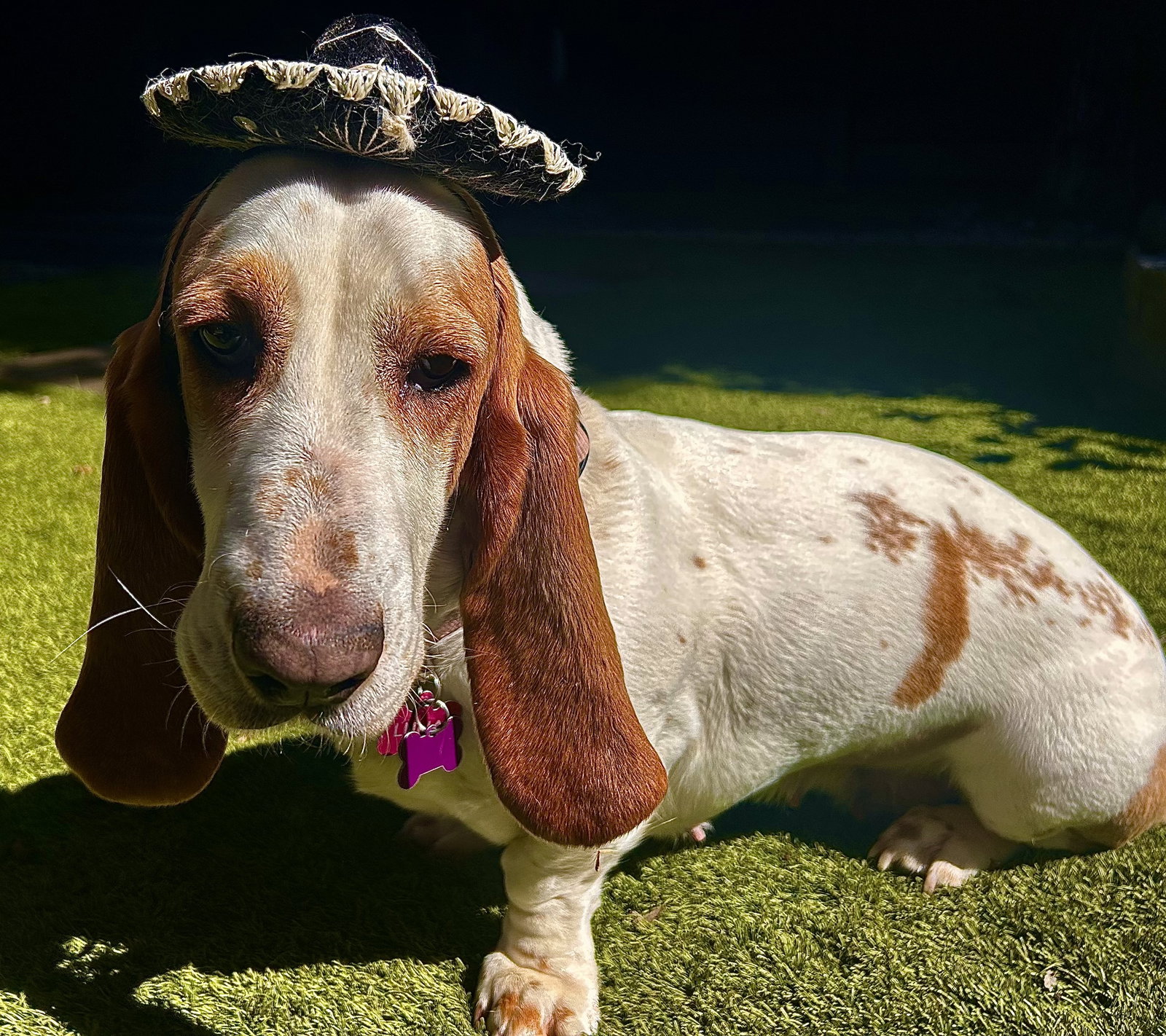 Luna (Oakdale)