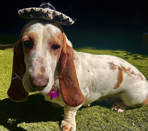 Luna (Oakdale)