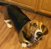 Sally (Atwater)