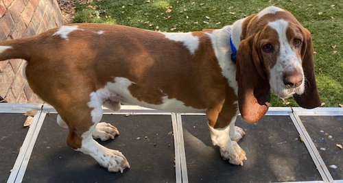 Murphy photo 3