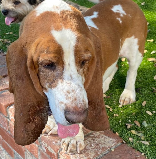 Murphy photo 2