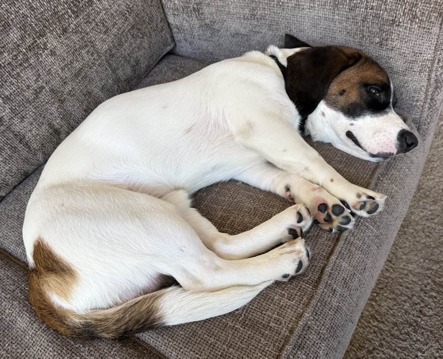 Remington  (Reno)