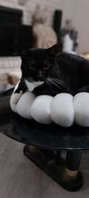 Tucker - Photo 1