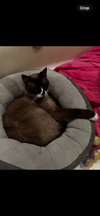 Casey - Photo 1