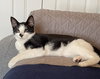Spot - Photo 2