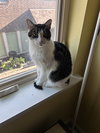 Cooper - Photo 1