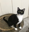 Luna - Photo 8