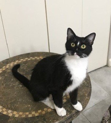 Luna