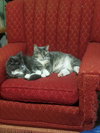 Sebastian - Photo 2