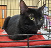 Addie - Photo 2