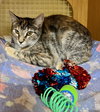 Annie S. - Photo 2