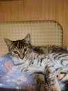 Annie S. - Photo 5