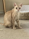 Hermione - Photo 5
