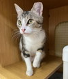 Zasha. - Photo 4