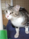 Zasha. - Photo 5