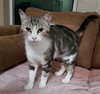 Zasha. - Photo 6