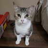 Zasha. - Photo 7