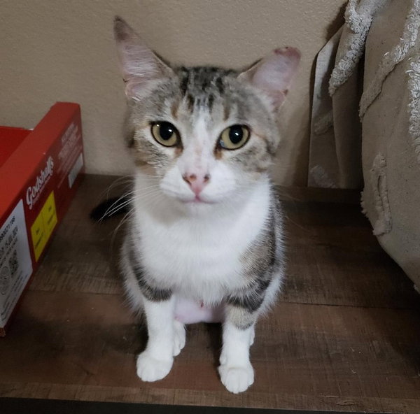 Zasha.