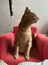 Marble - Photo 5