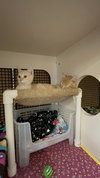 Duffy - Photo 2
