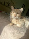 Le'Orange. - Photo 2