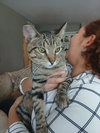 Thor - Photo 3