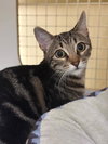 Maggie - Photo 1